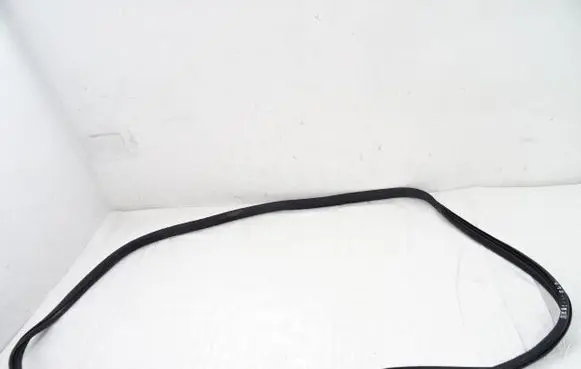 Citroen Berlingo Front door rubber seal 