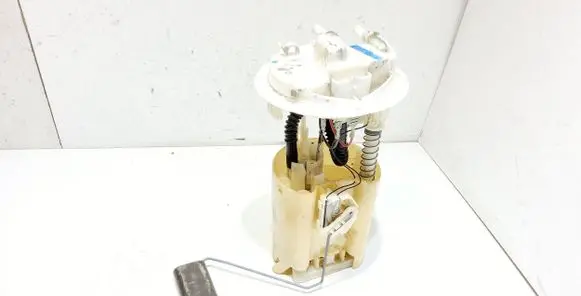 Citroen Berlingo In-tank fuel pump 9633294680 09730689900
