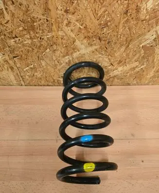 Opel Antara Rear coil spring