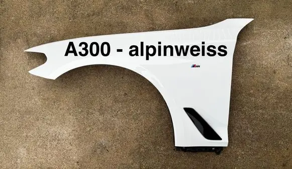 BMW 5 G30 G31 G38 Fender 