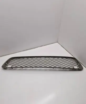 BMW X5 E70 Front bumper lower grill 51117163956 7163956