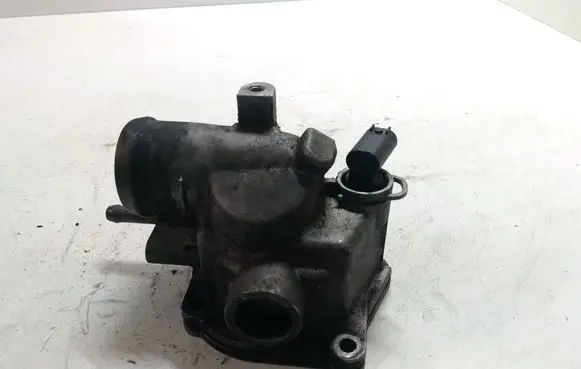 Thermostat/thermostat housing