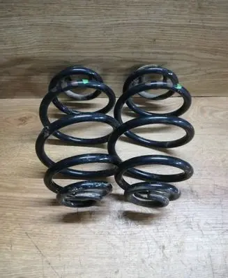 Volkswagen PASSAT B5 Rear coil spring
