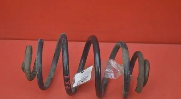 Volkswagen PASSAT B5 Rear coil spring