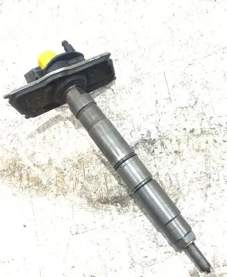 Volkswagen Phaeton Fuel injector 0986435358 170531102