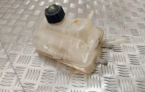 Renault Scenic III - Grand scenic III Coolant expansion tank/reservoir 217100005R