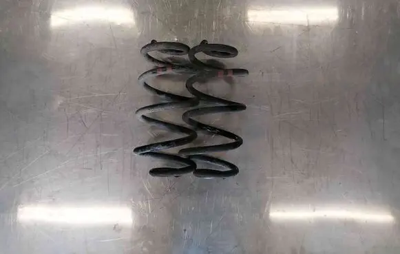 Nissan Qashqai Rear coil spring 55020JD02A