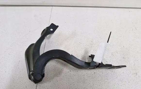 Opel Ampera Engine bonnet/hood hinges