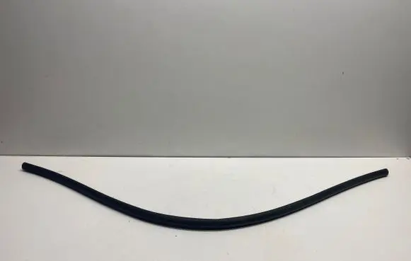 Dodge Charger Rubber seal front coupe door 