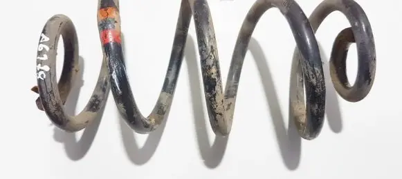 Nissan Qashqai Rear coil spring