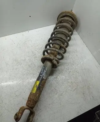 Chevrolet Evanda Rear shock absorber with coil spring 