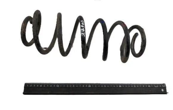 Rear coil spring