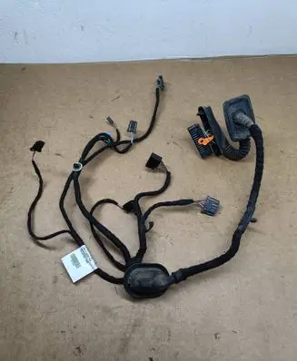 Volkswagen PASSAT B7 USA Rear door wiring loom 561971694L TAB016615J