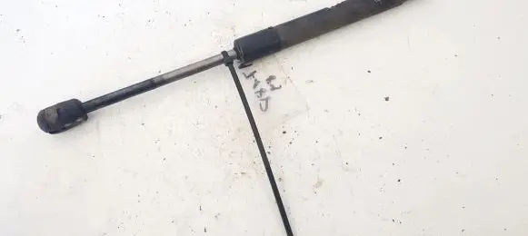 Tailgate/trunk strut/damper