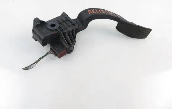 Fiat Punto (199) Accelerator throttle pedal 55702020