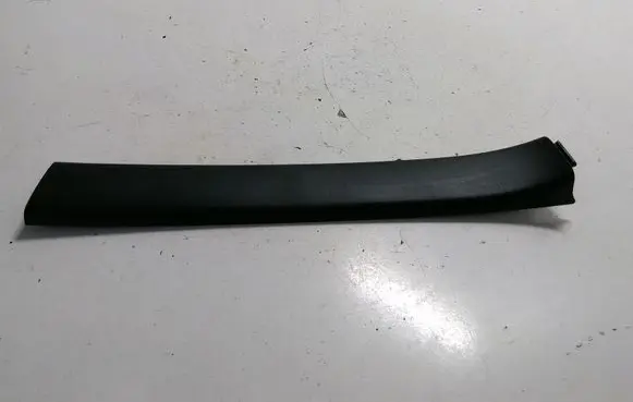 Renault Latitude (L70) Other rear door trim element 828730007R