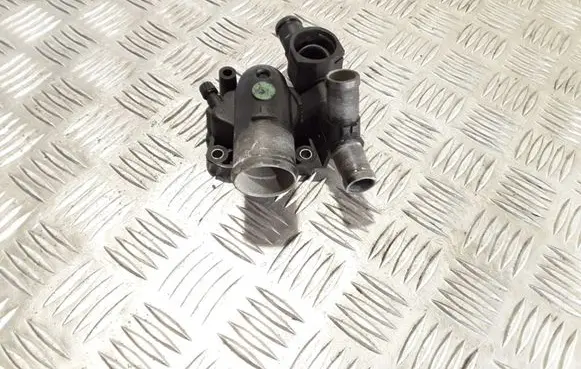 Thermostat/thermostat housing