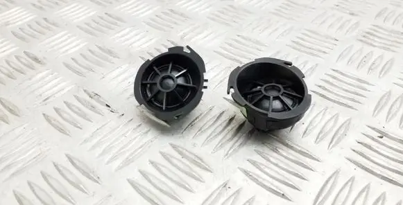 Front door high frequency speaker