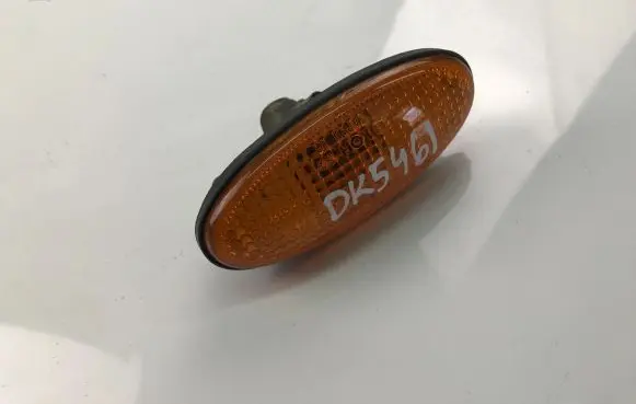 Front fender indicator light