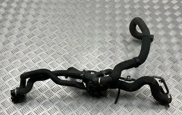 Peugeot 3008 I Thermostat 1613G0824