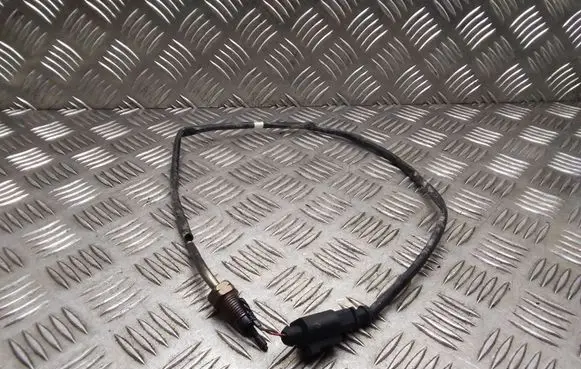 Skoda Yeti (5L) Exhaust gas temperature sensor 03L906088BD