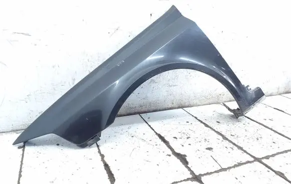 Renault Laguna II Fender