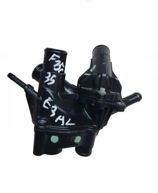 Thermostat/thermostat housing