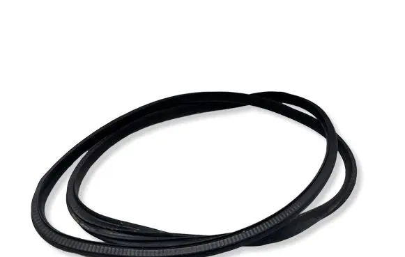 Renault Mégane Renault Sport III (IV Based) Front door rubber seal 