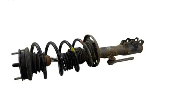 Ford Ecosport Front shock absorber with coil spring MFN1C18B036CB