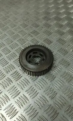 Volkswagen Bora Fuel pump gear (pulley) 038130111A