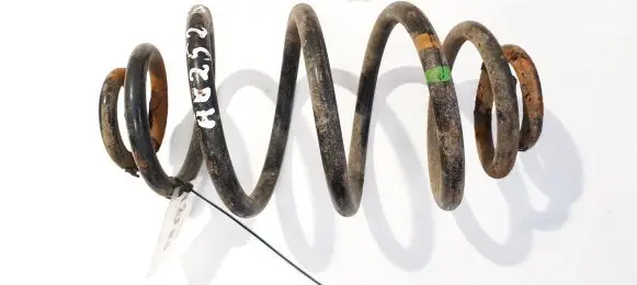 Volkswagen PASSAT B5 Rear coil spring