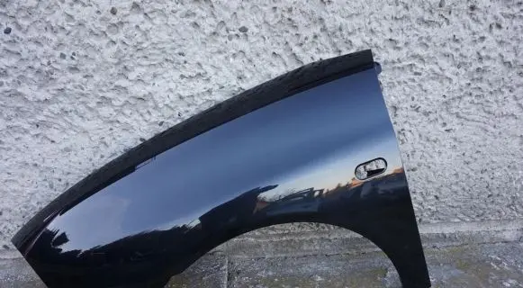 Seat Ibiza III (6L) Fender