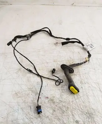 Front door wiring loom