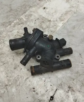 Thermostat/thermostat housing