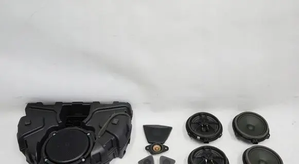 Ford Fiesta Subwoofer speaker H1BT-19A067-AA
