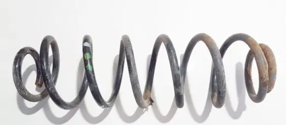 Rear coil spring