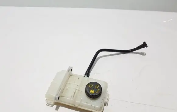Renault Kangoo III Brake fluid reservoir 460913338R