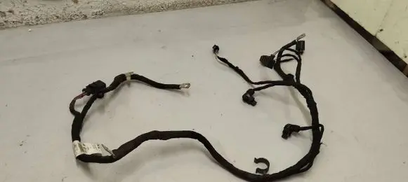 Positive wiring loom