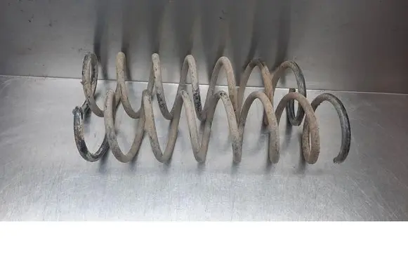 Rear coil spring
