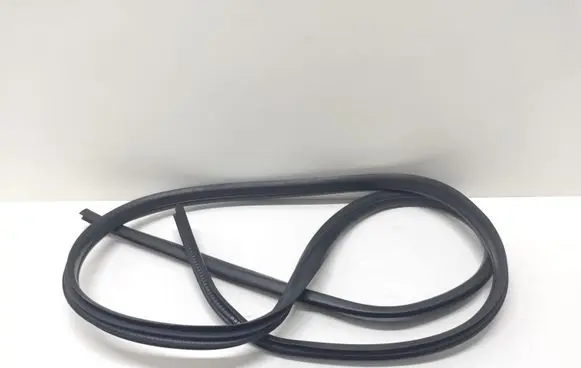 Ford C-MAX II Front door rubber seal