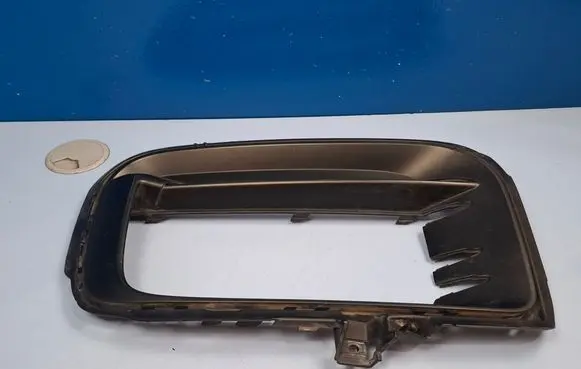 Porsche Cayenne (9Y0 9Y3) Front bumper lower grill 9Y0807796B