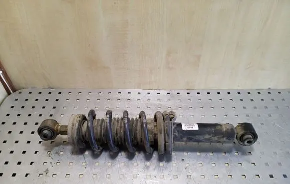 Peugeot 508 Rear shock absorber with coil spring 