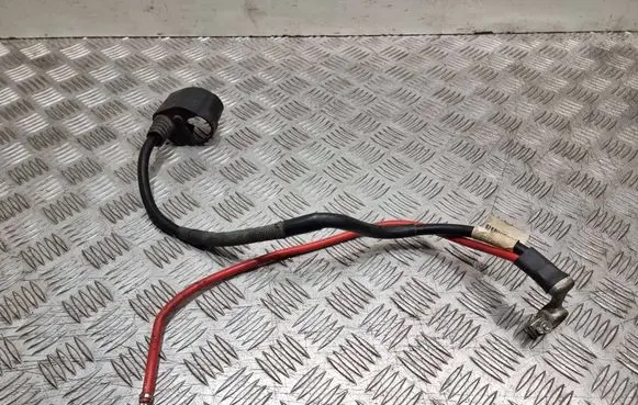 Volkswagen Golf Plus Positive cable (battery) 1K097122812