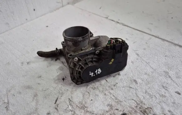 Throttle body valve