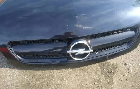 Opel Signum Front grill