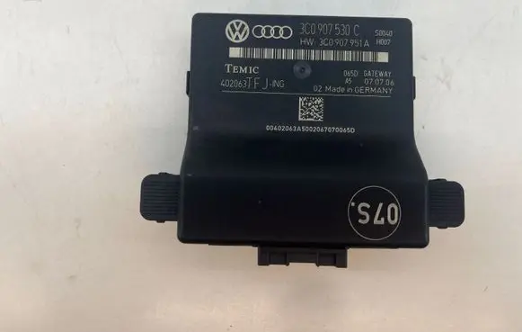 Volkswagen PASSAT B6 Gateway control module 3C0907530C
