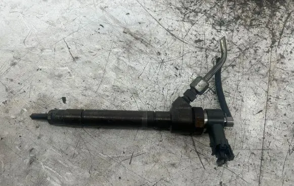 Volvo S60 Fuel injector 0445110251