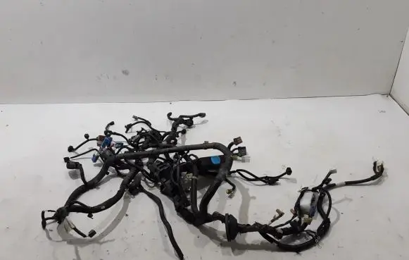 Other wiring loom