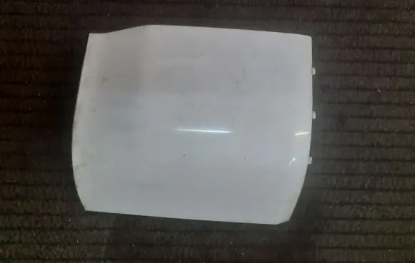 Rear/tail light trim molding
