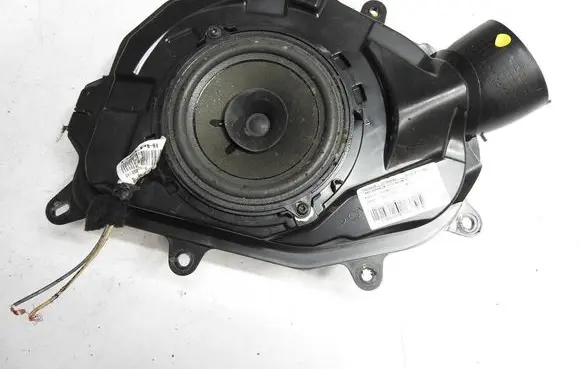 Renault Clio IV Front door speaker 210058030019